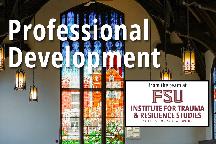 Institute for Trauma and Resilience Studies